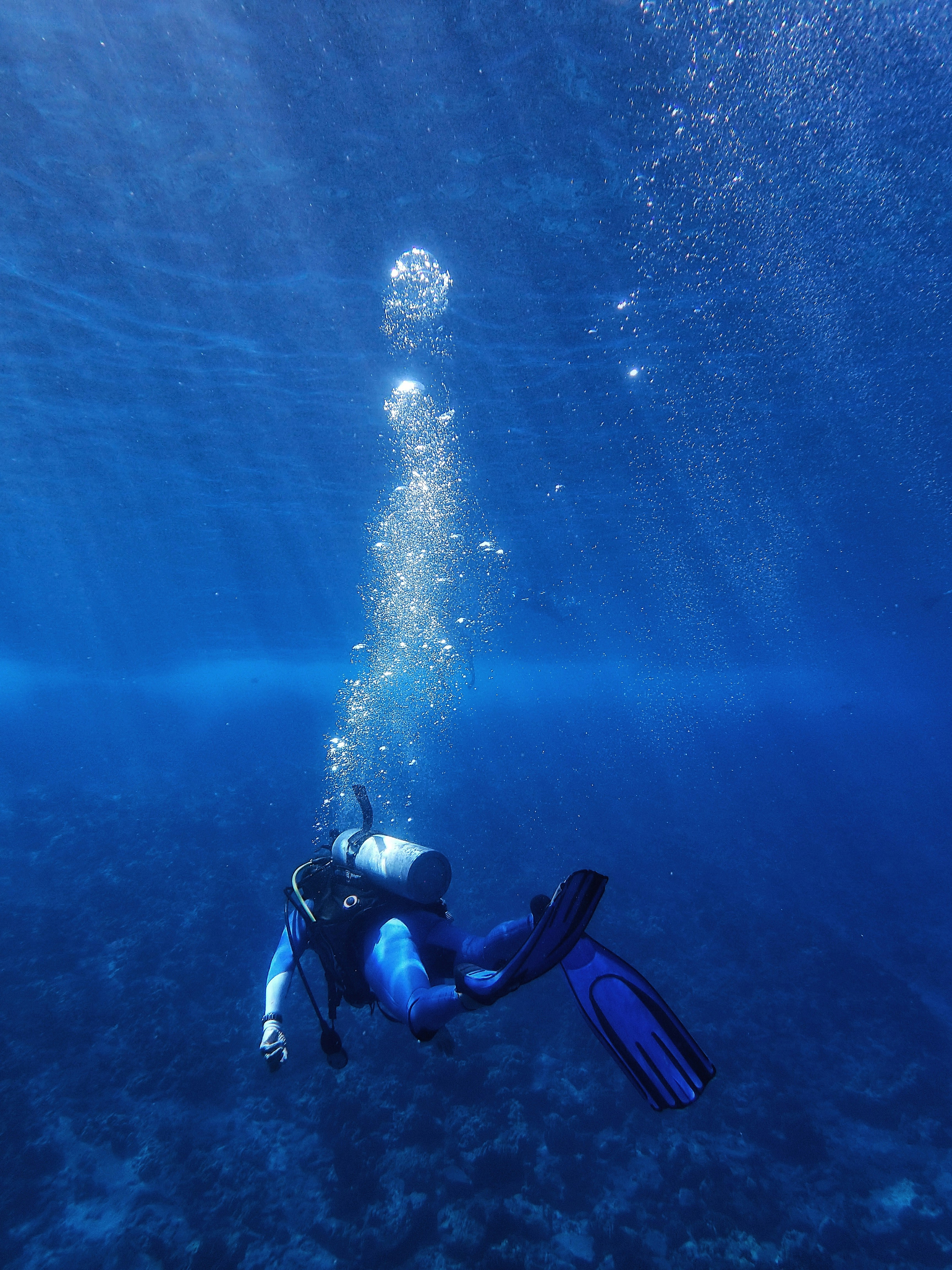 Diving